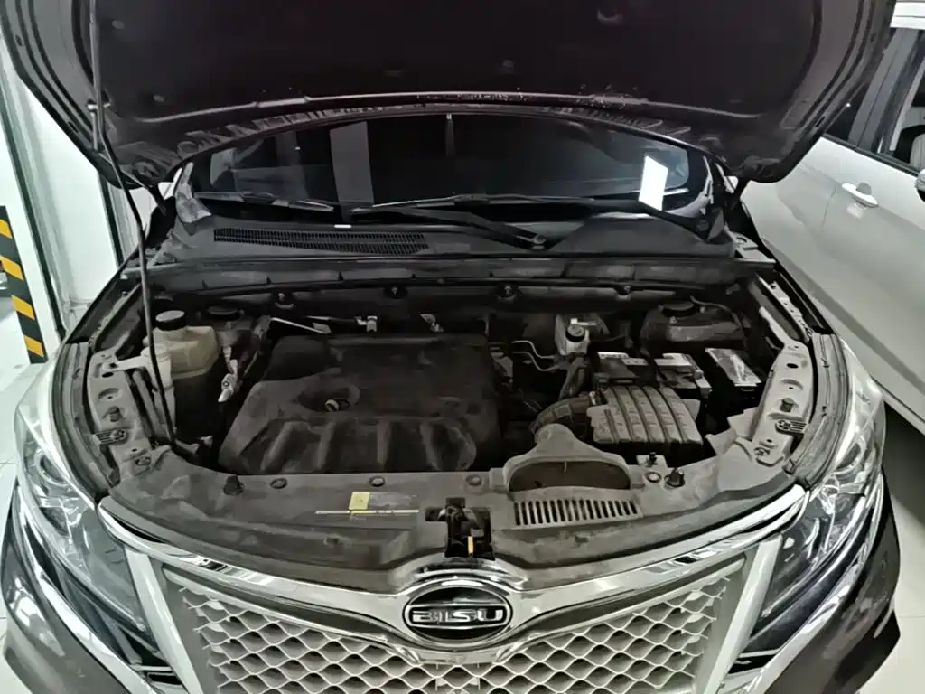 Bisu Auto Bisu M3 2019 2017 1.5L Elite Edition