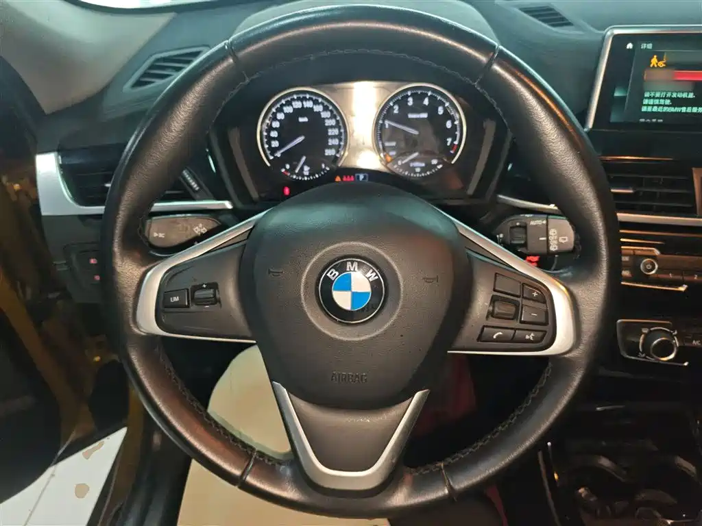 BMW X2 (Import) 2019 sDrive20i M Off-Road Package China VI фото 7