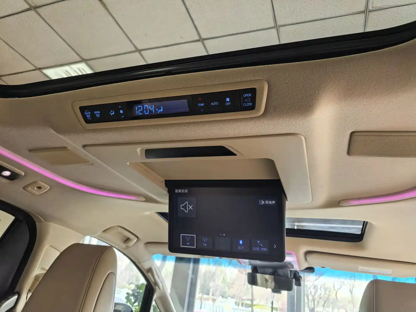 Toyota Alphard 2021 Hybrid 2.5L Luxury фото 19