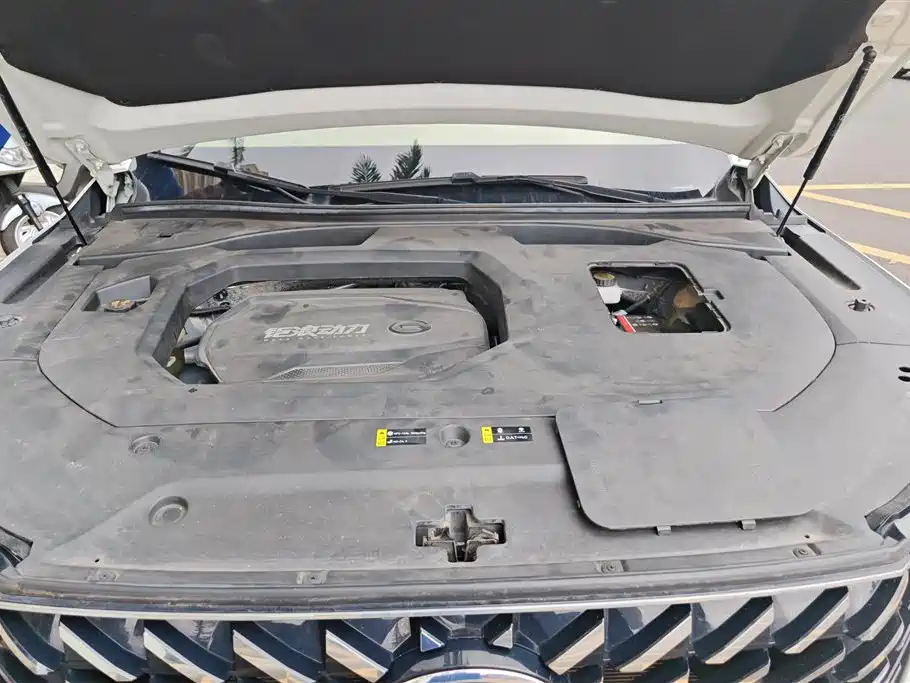 GAC Trumpchi Trumpchi GS8 2022 Pilot Series 2.0TGDI 2WD Luxury Smart Connect Edition (7-Seater) фото 9