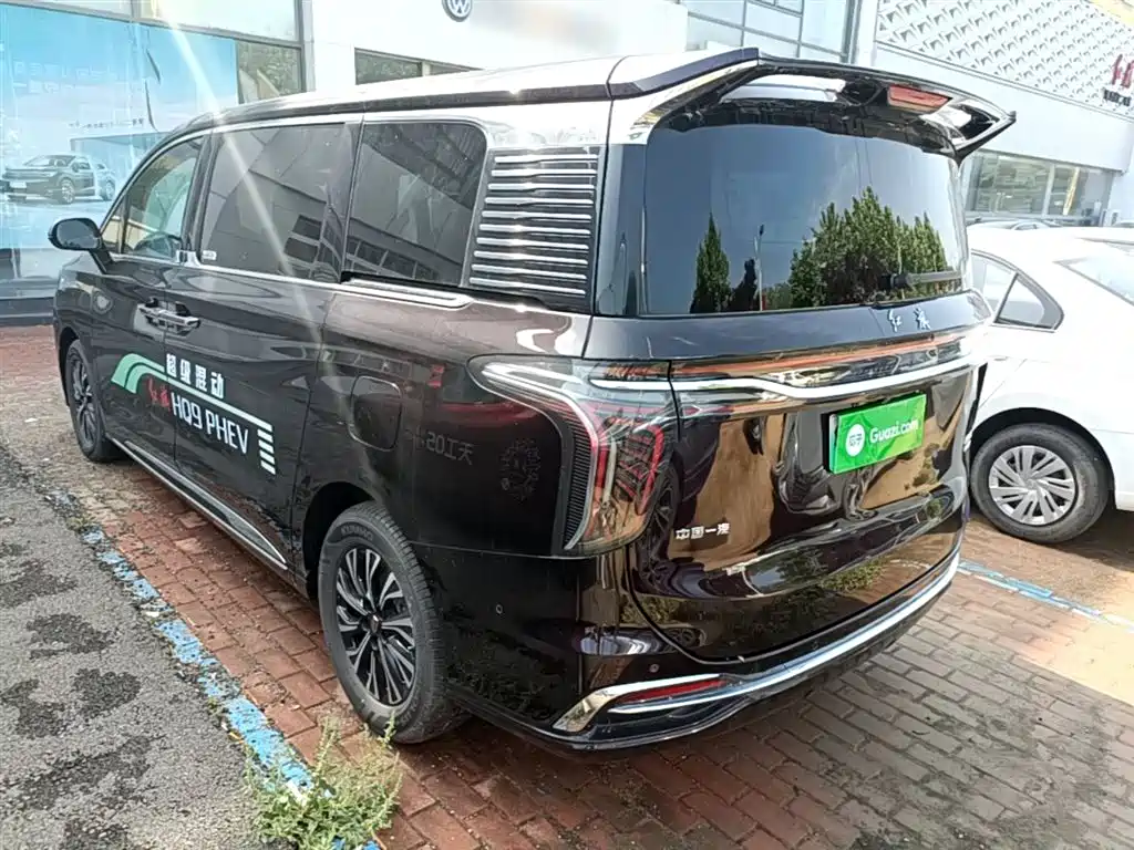 Hongqi HQ9 PHEV 2024 Model 2.0T AWD Luxury Edition фото 5