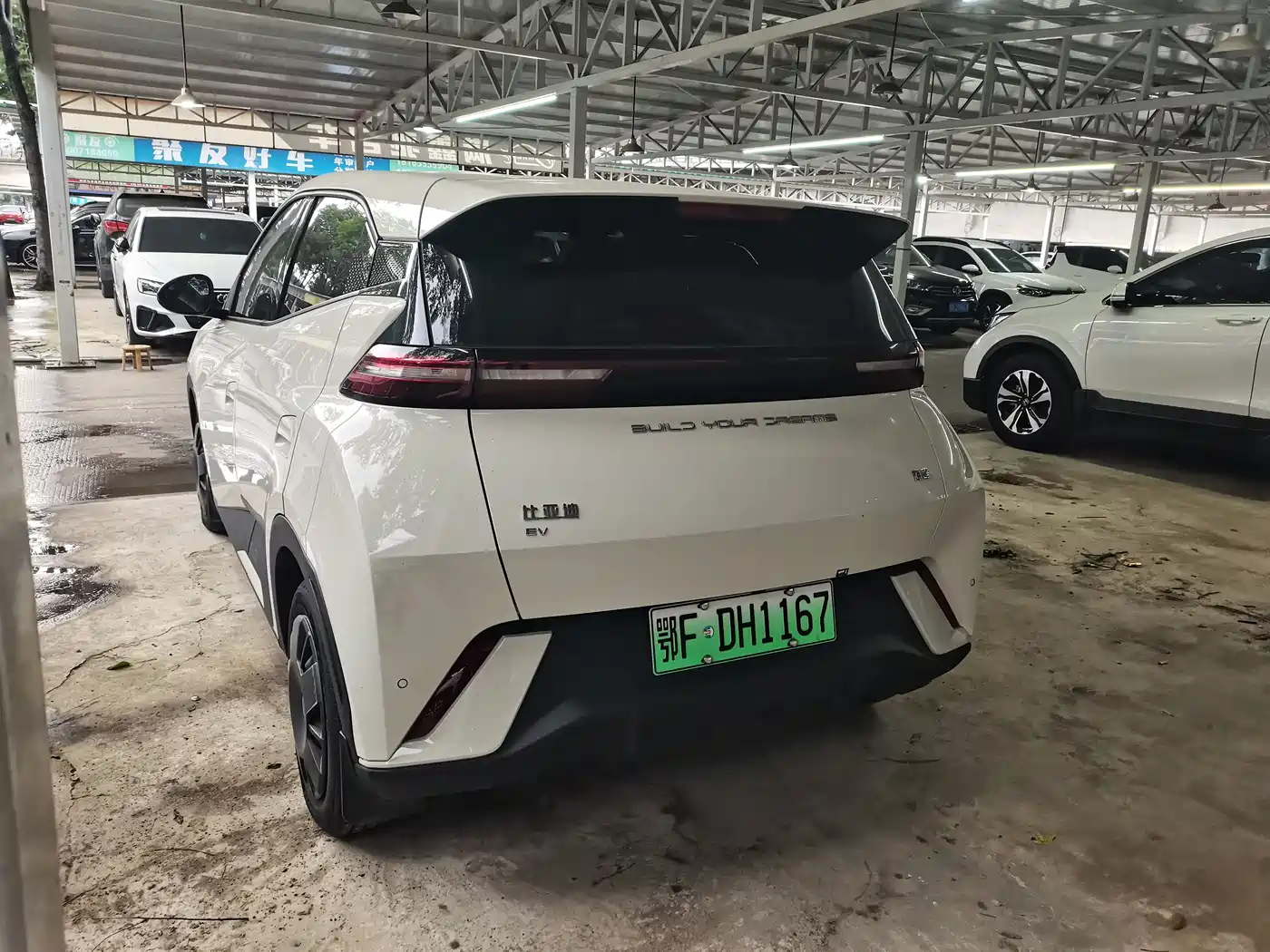 BYD Seagull 2024 Glory Edition 305km Vitality Edition фото 9