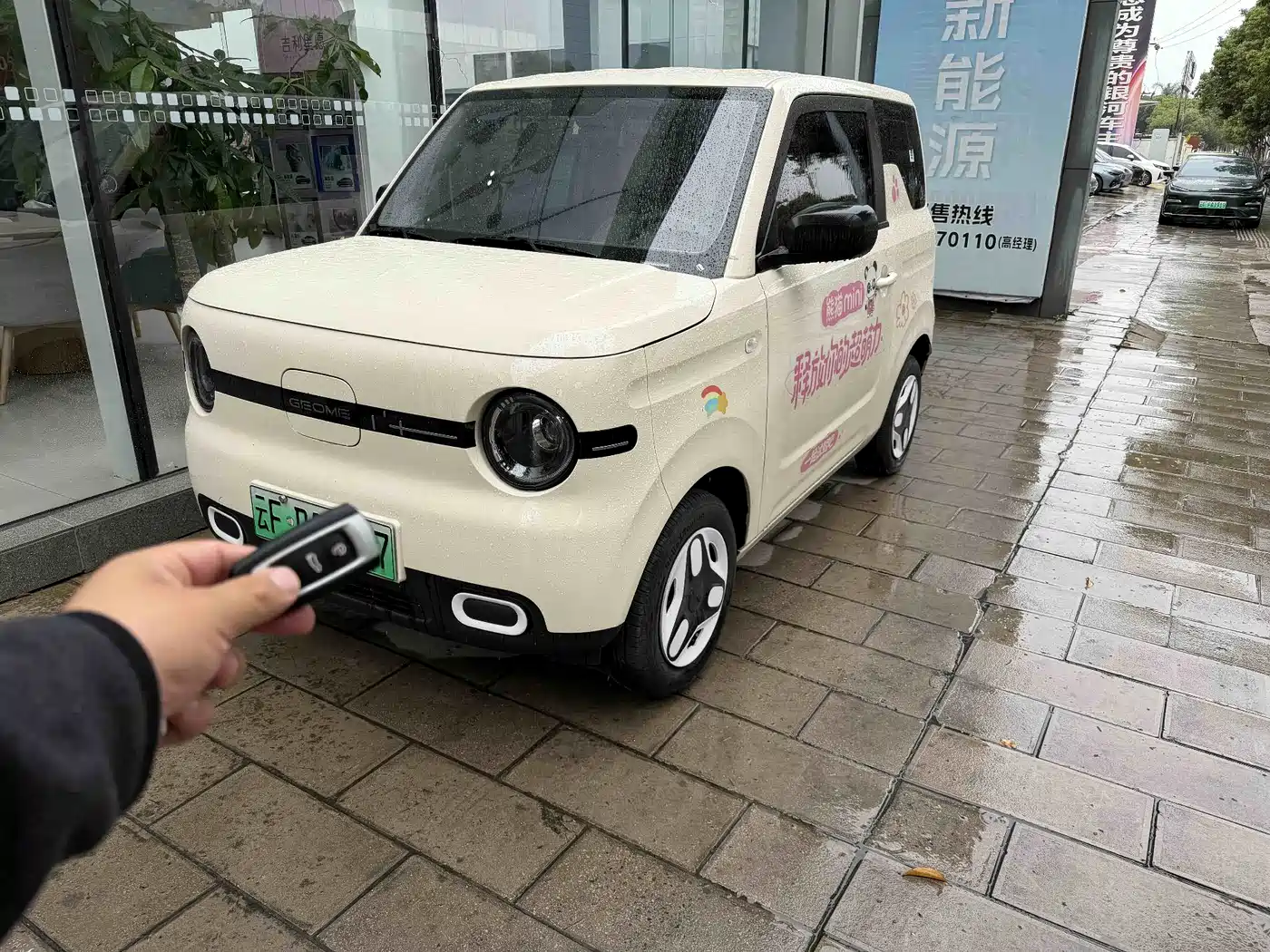 Geely Galaxy Panda 2024 Panda mini 200km Endurance Bear