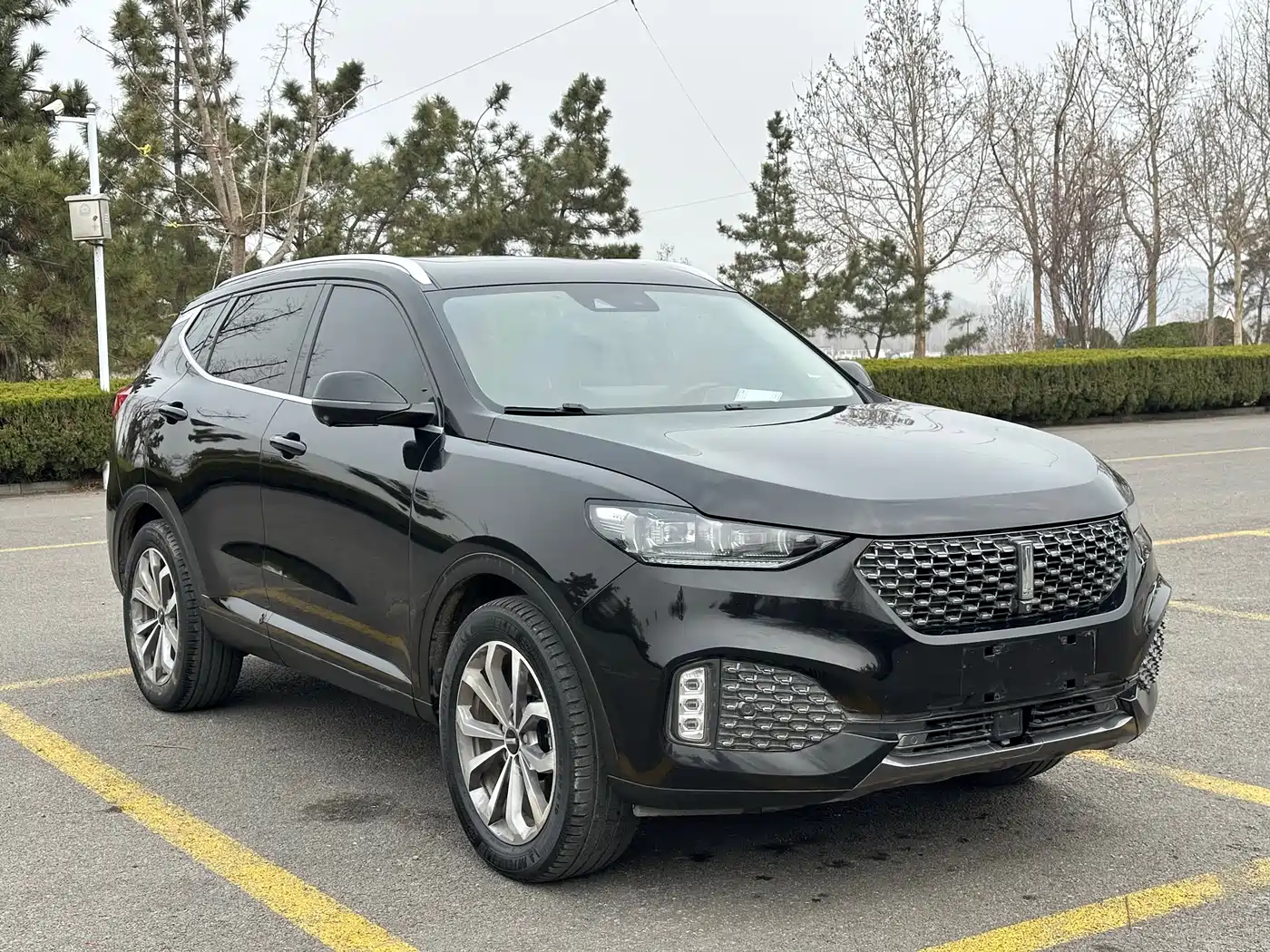 Wey VV6 2020 — пригон из Китая