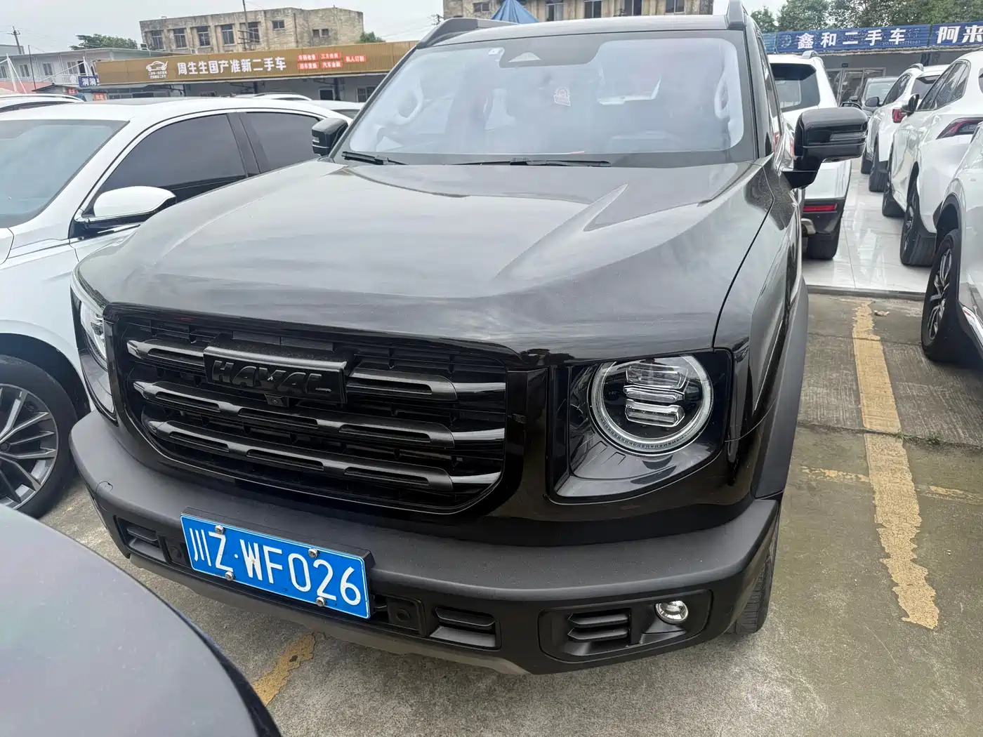 Haval Big Dog 2021 1.5T DCT 2WD Border Collie Edition фото 2