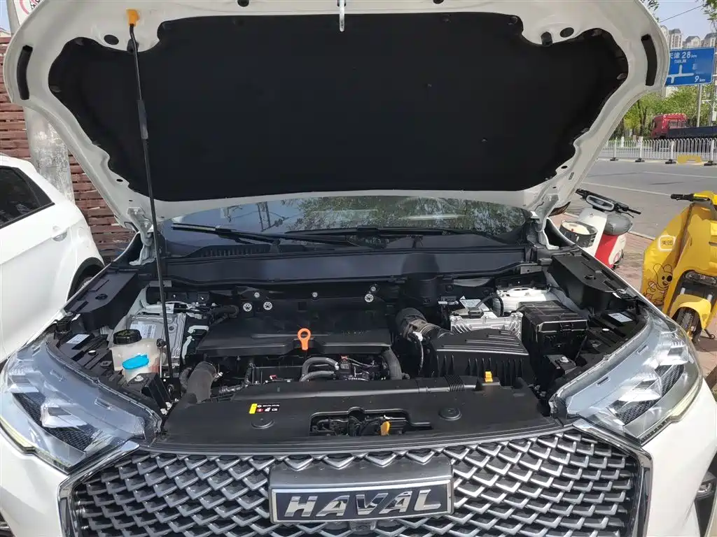 Haval H6 2021 3rd Generation 1.5T Auto 2WD Max фото 19
