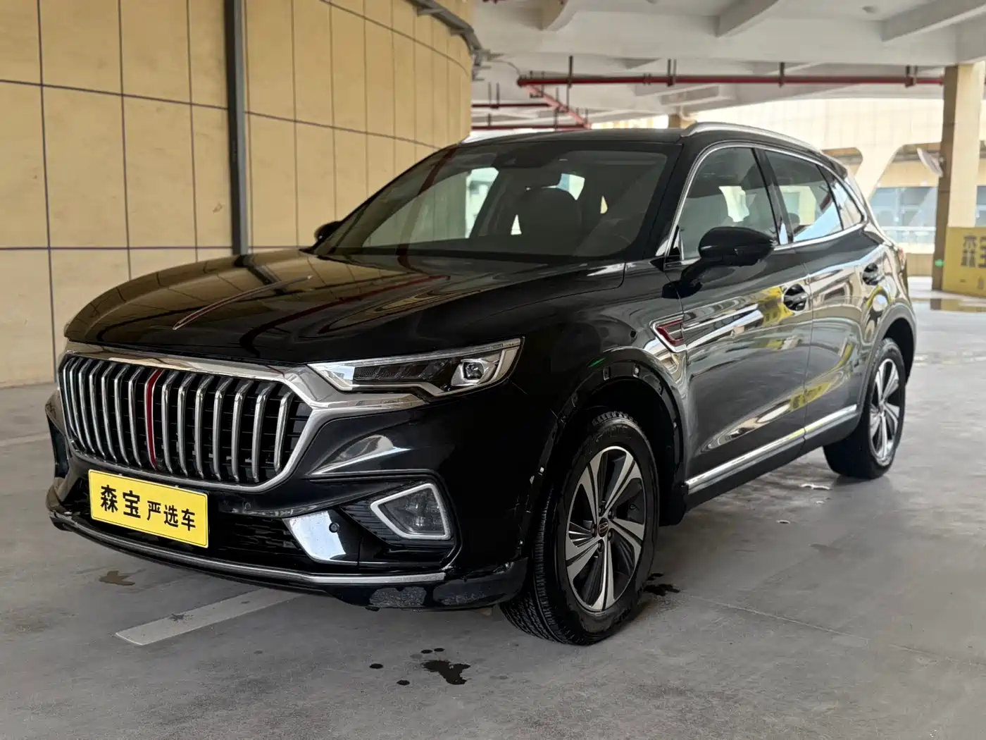  Hongqi Hongqi HS5 2019 2.0T Smart Connect Enjoy Edition