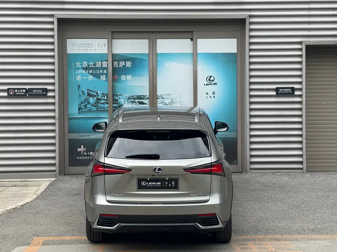 Lexus NX 2020 300h FWD F Sport China VI фото 21