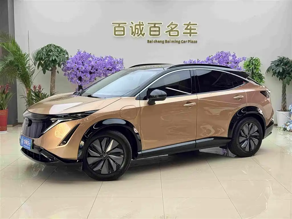 Nissan ARIYA 2024 2022 2WD Long Range Top Edition