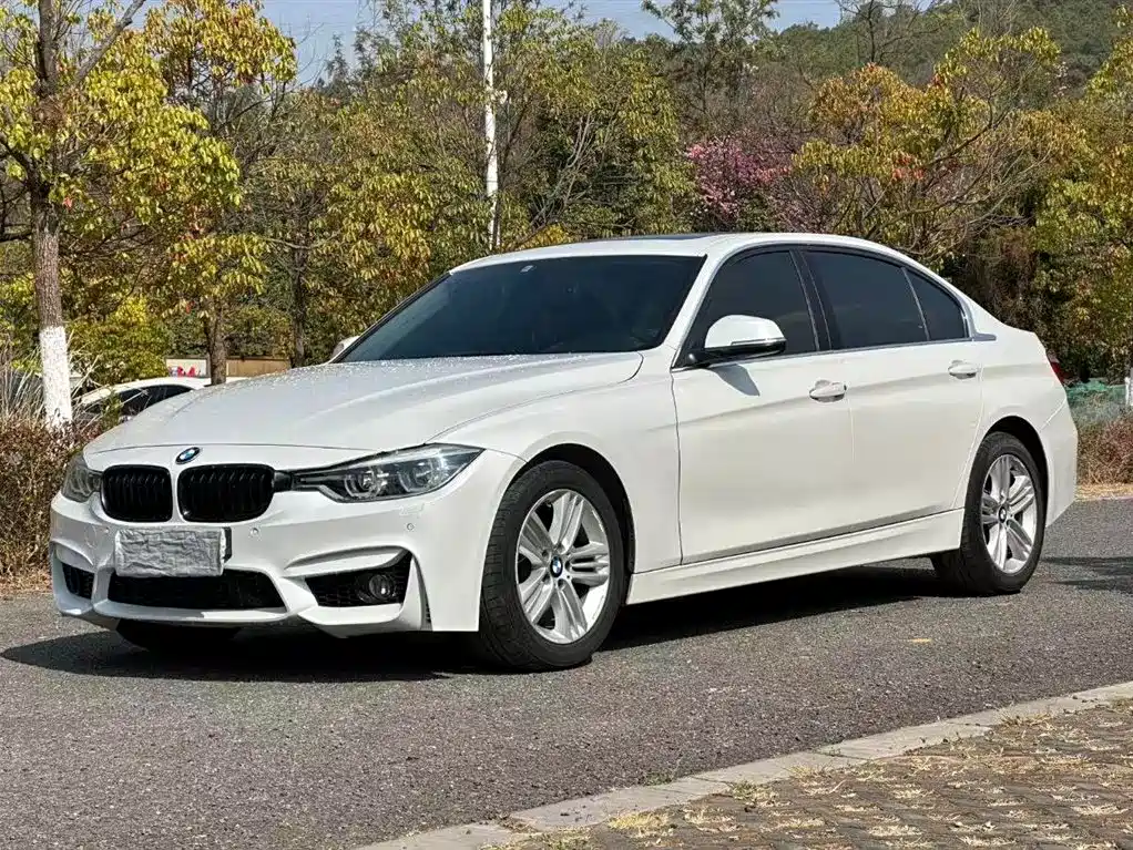 BMW 3 Series 2017 320Li Luxury Design Package