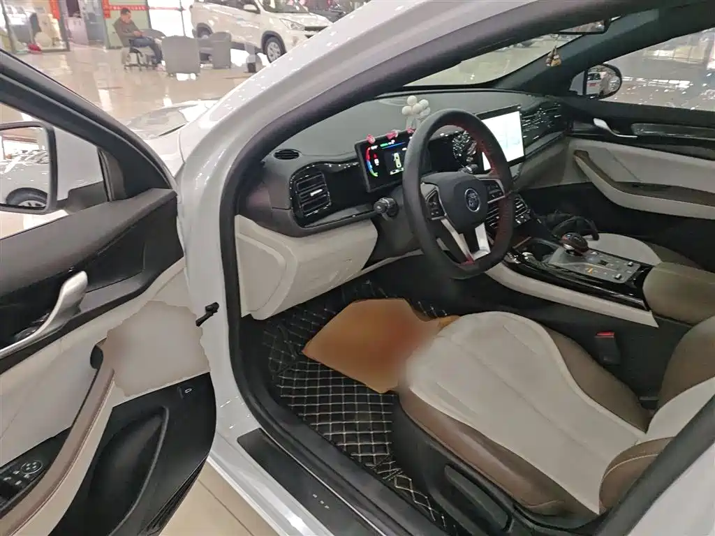 BYD Qin PLUS 2024 Glory Edition DM-i 55KM Leading фото 16