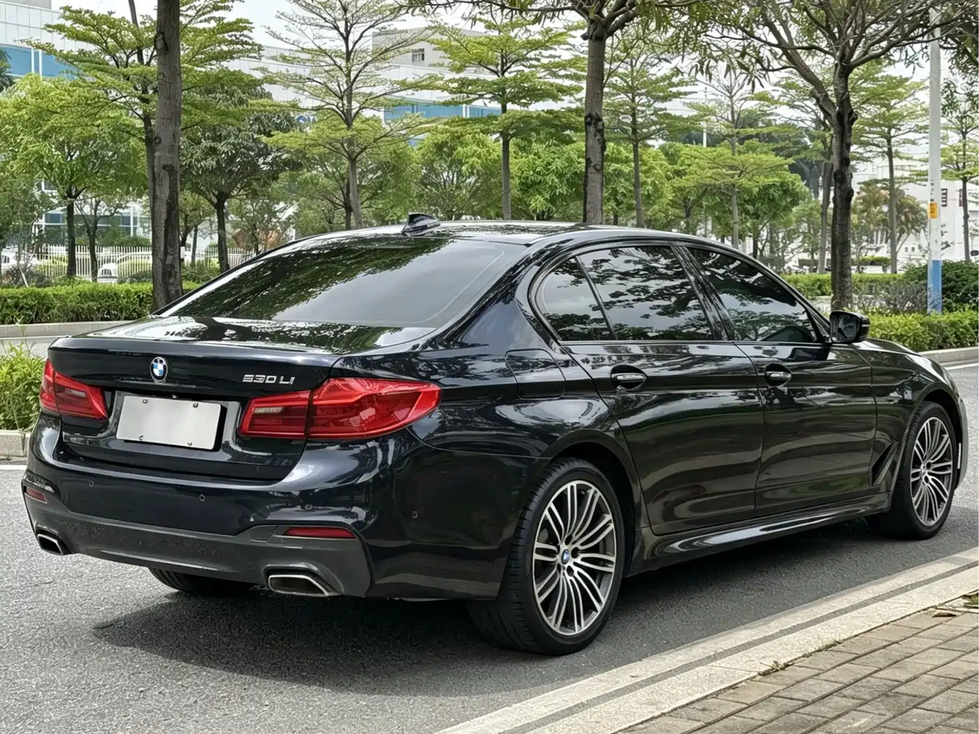 BMW 5 Series 2018 530Li Leading M Sport Package фото 14