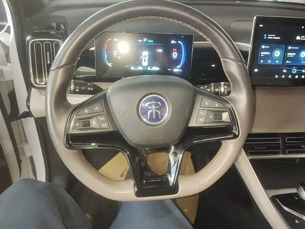 BYD Song Pro New Energy 2024 Glory Edition DM-i 71KM Pilot фото 11