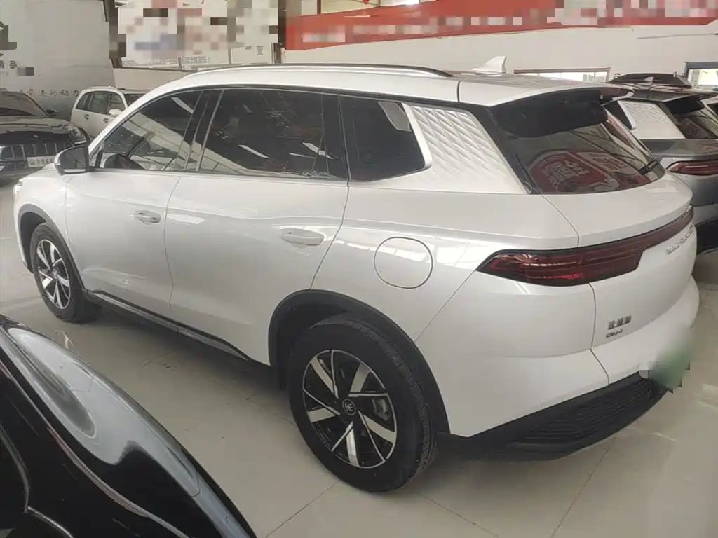 BYD Song Pro New Energy 2024 Glory Edition DM-i 71KM Pilot фото 5
