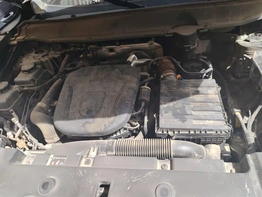 HAVAL SECOND GENERATION BIG DOG NEW ENERGY