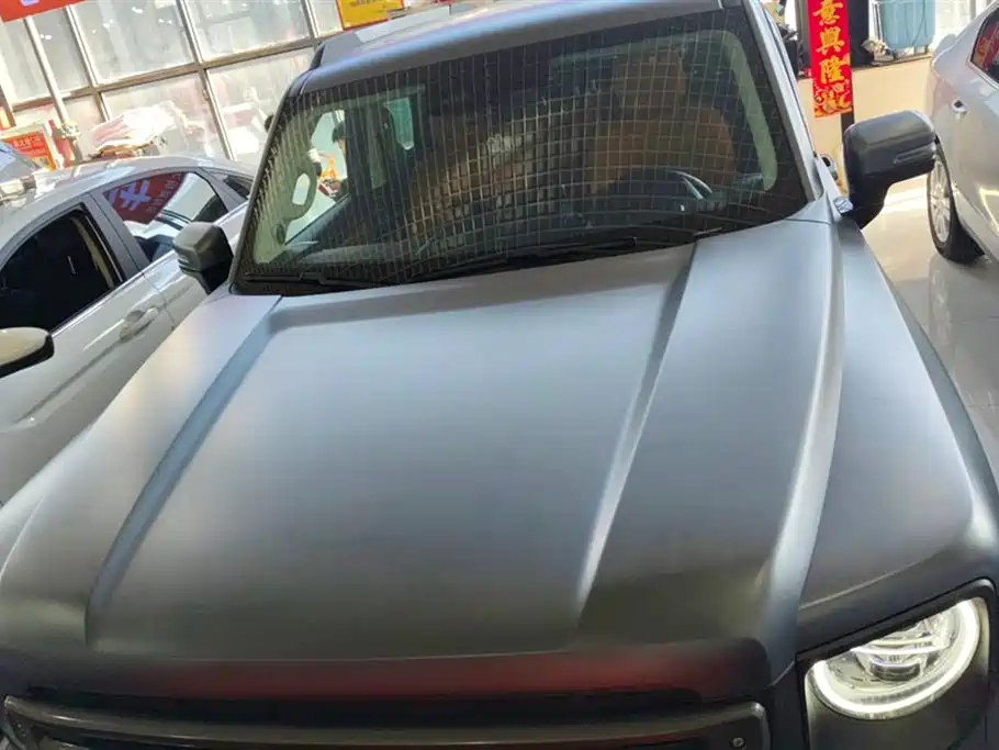 HAVAL RAPTORS NEW ENERGY