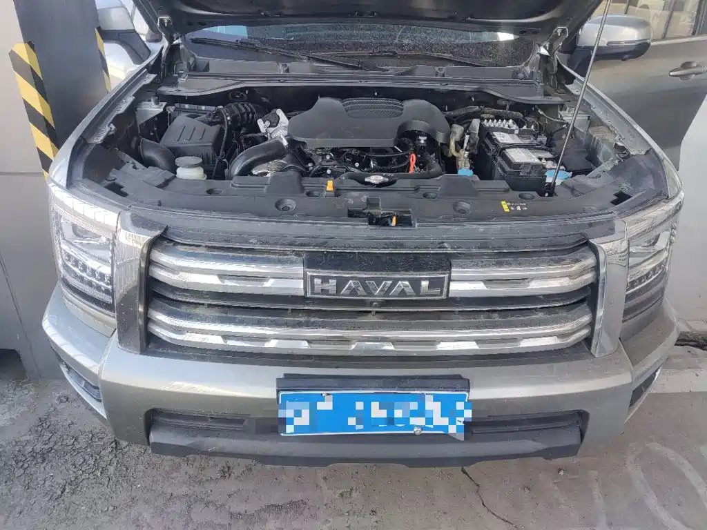 Haval H5 2024 2023 2.0T Automatic 4WD Leading Edition Diesel
