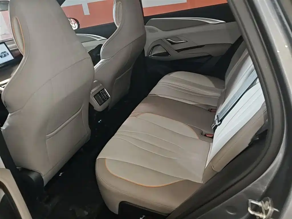 BYD Song Pro New Energy 2024 Glory Edition DM-i 71KM Pilot фото 17