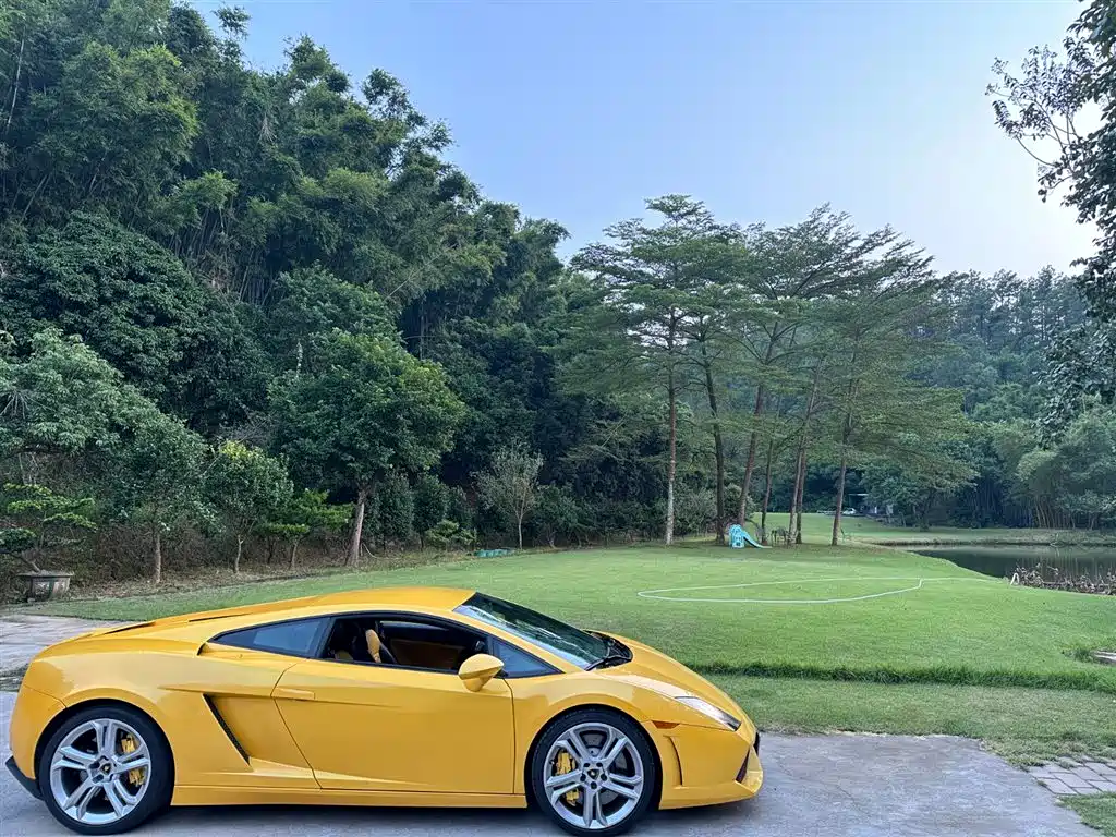 Lamborghini Gallardo 2008 LP 560-4 фото 3