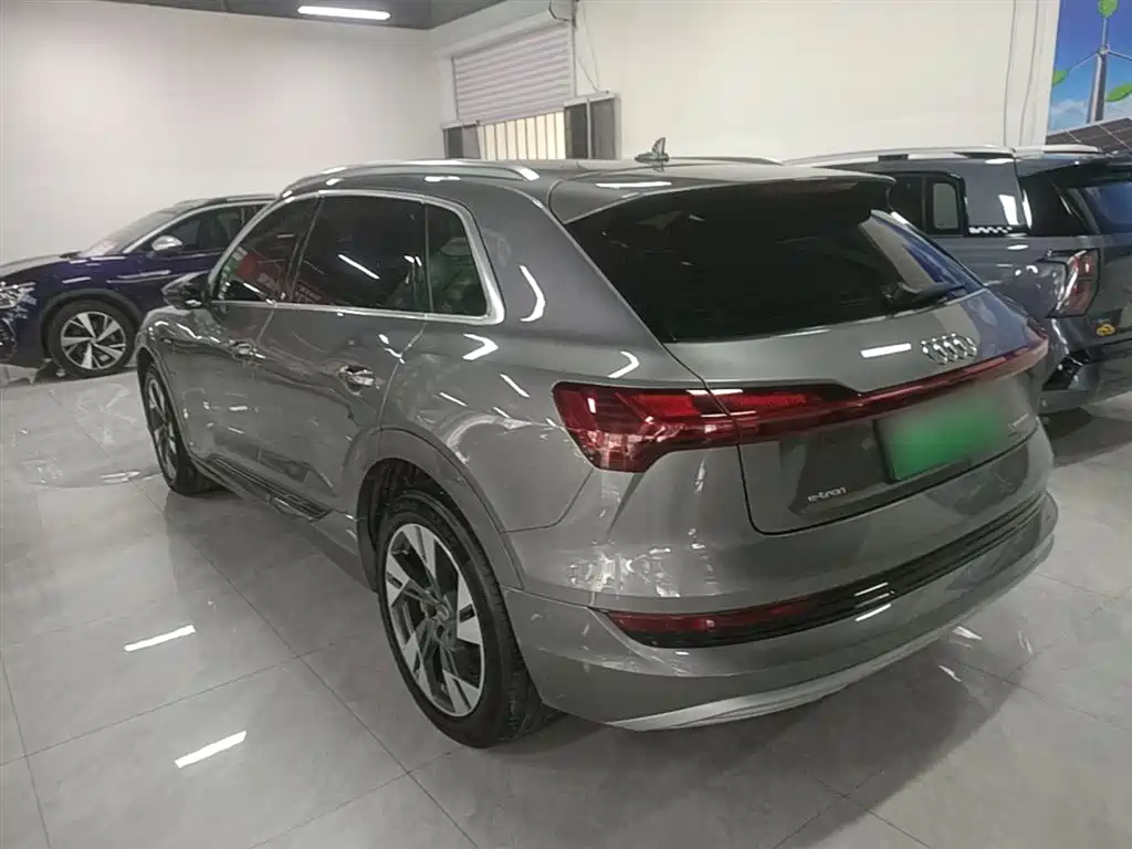 Audi e-tron (Import) 2019 55 quattro Technology фото 5
