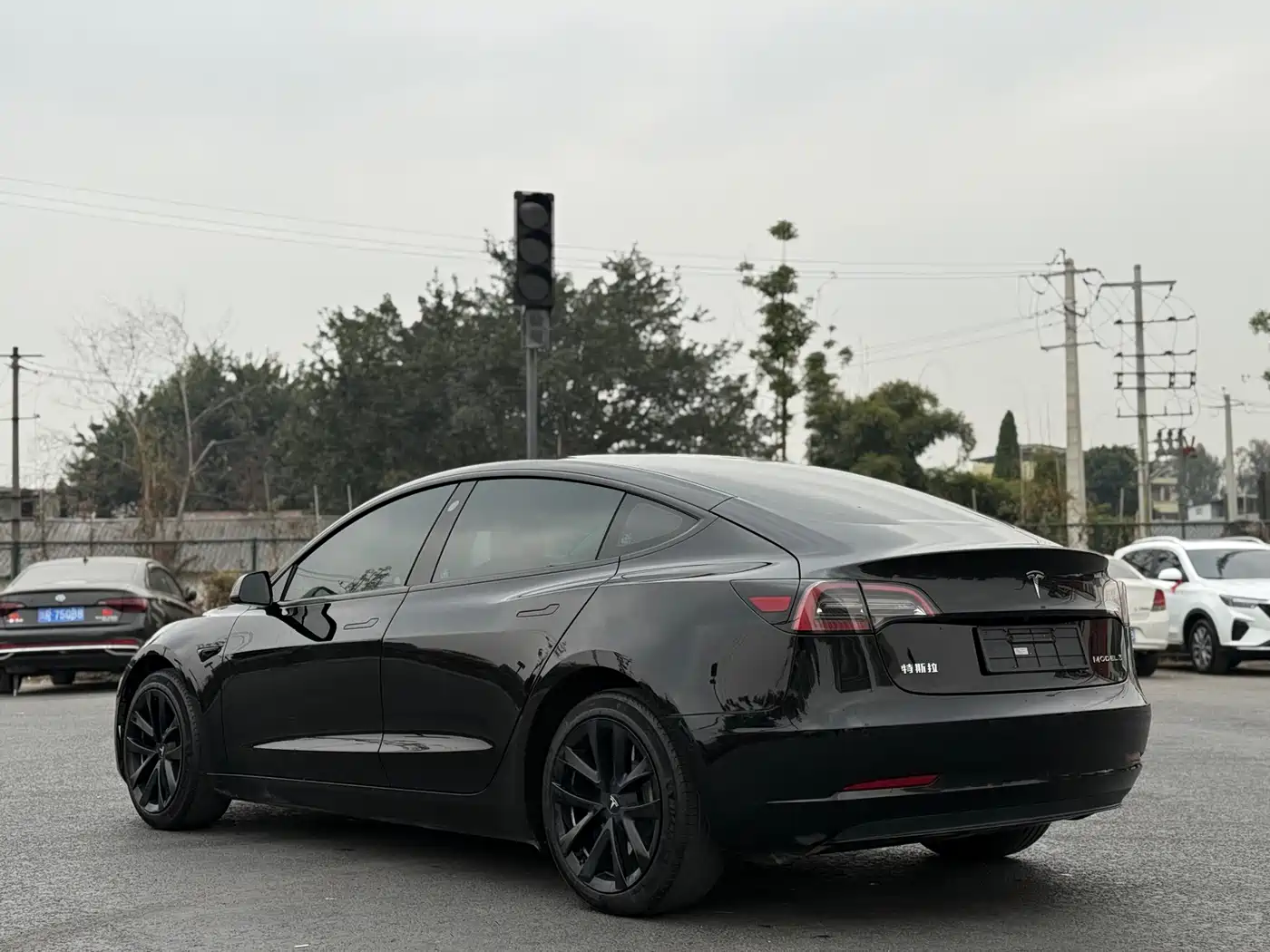 TESLA MODEL 3
