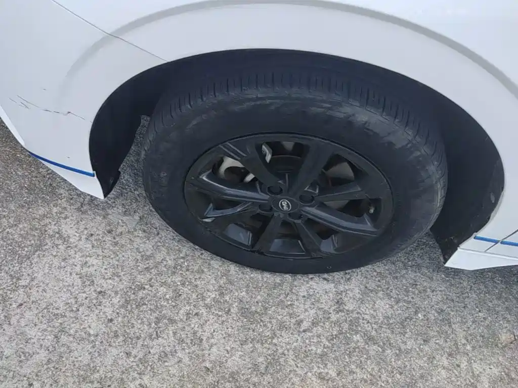 BYD e2 2020 2019 Long Range Yao·Luxury Model