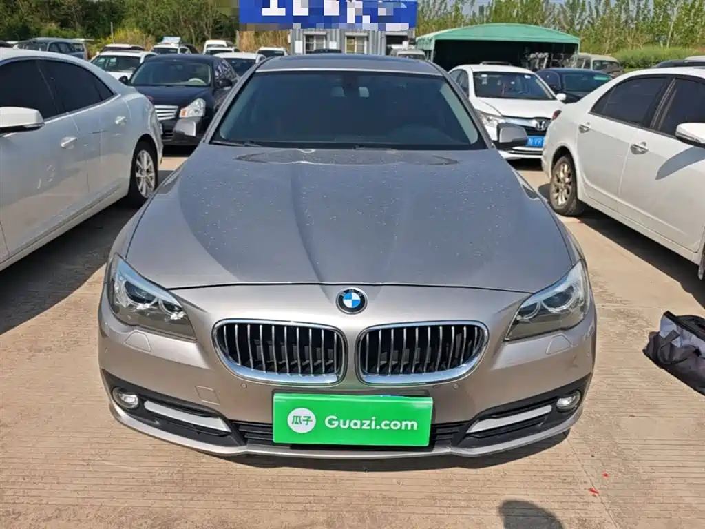 BMW 5 Series 2014 520Li Elegance фото 3