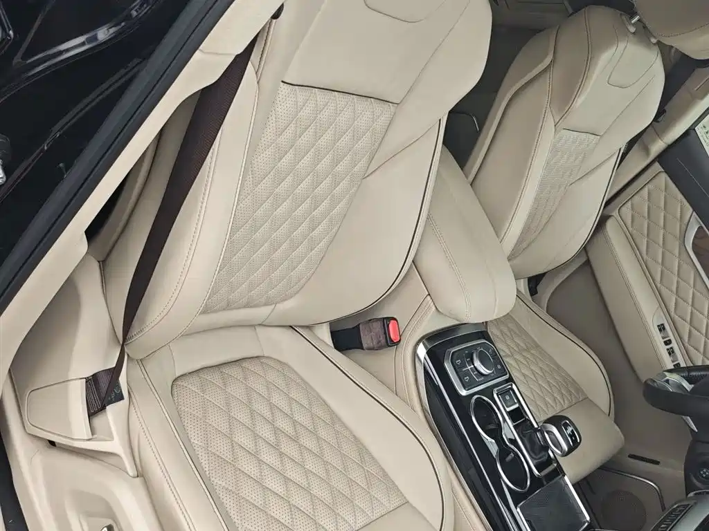 Hongqi HS7 2019 3.0T Automatic 4WD Smart Connection Flag Leader Edition фото 23