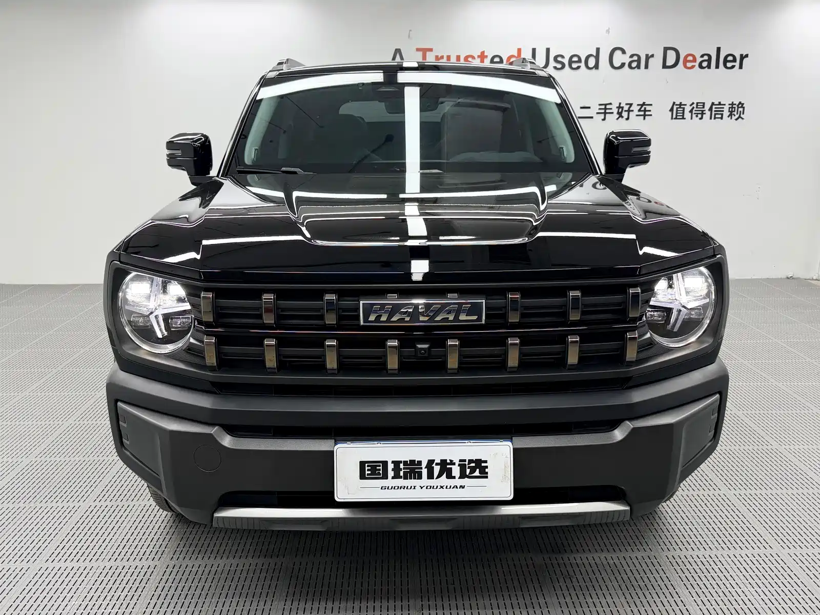 Photo 2 - Haval Cool Dog