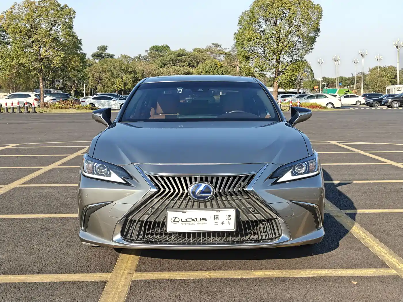 Lexus ES 2020 Model 300h Excellence Edition фото 2
