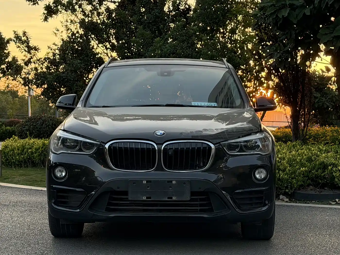 BMW X1 2016 sDrive20Li Luxury Model фото 2