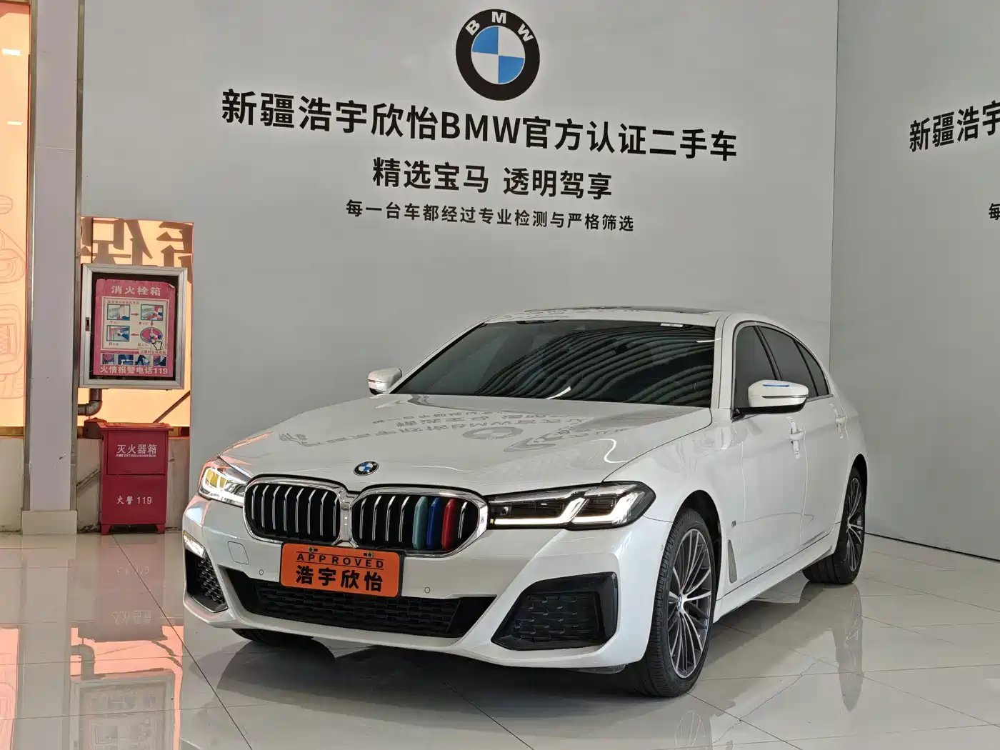 BMW BMW 5 Series 2023 530Li Leading M Sport Package