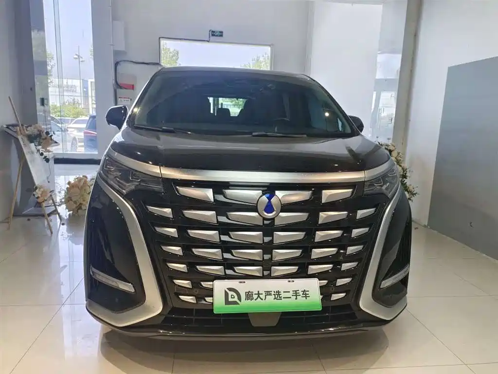 Denza D9 2025 2024 DM-i 980 AWD Premium