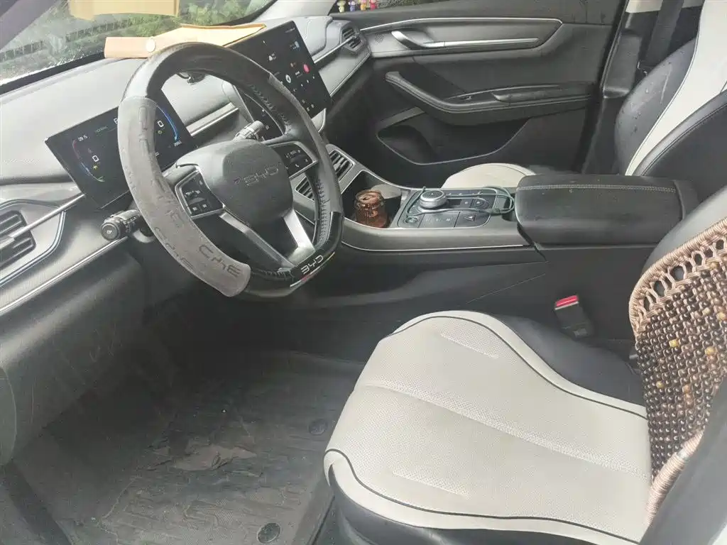 BYD Destroyer 05 2024 Glory Edition DM-i 55KM Luxury фото 12