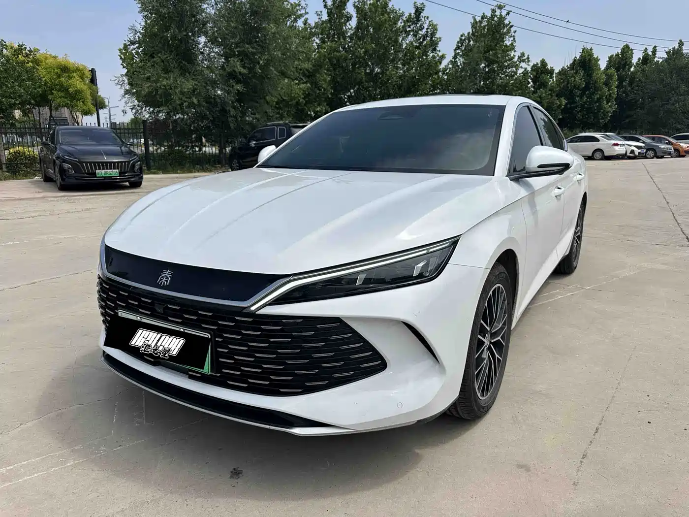 BYD Qin L 2024 DM-i 120KM Excellence Model