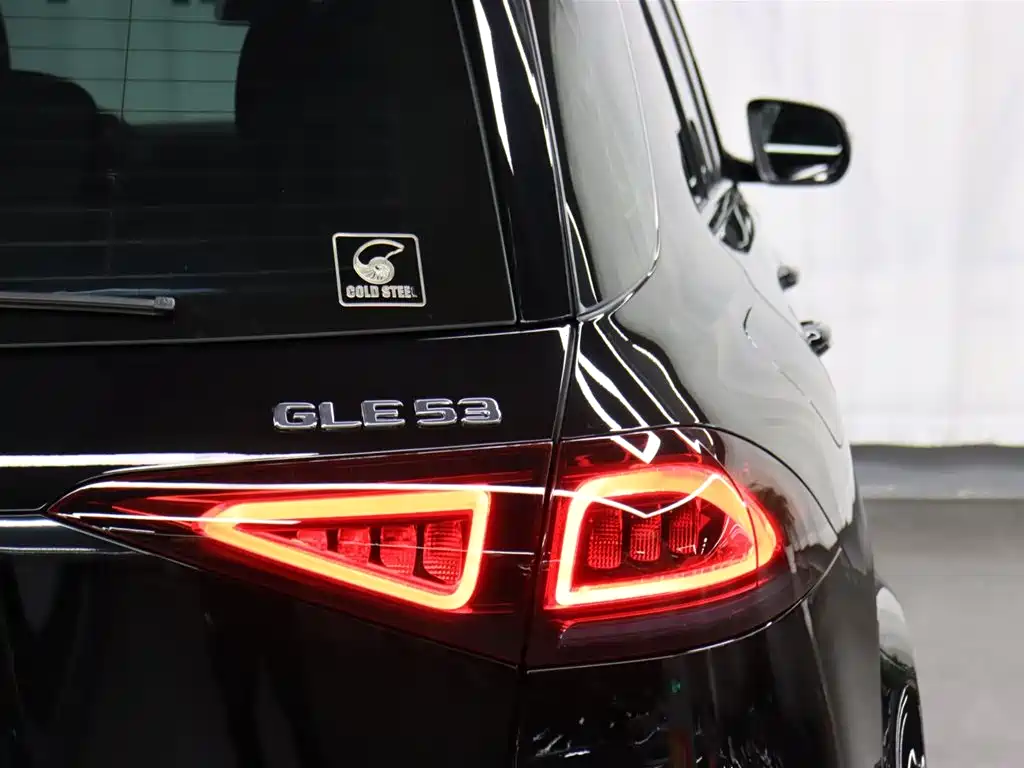 Mercedes-Benz GLE AMG 2020 AMG GLE 53 4MATIC+ фото 25