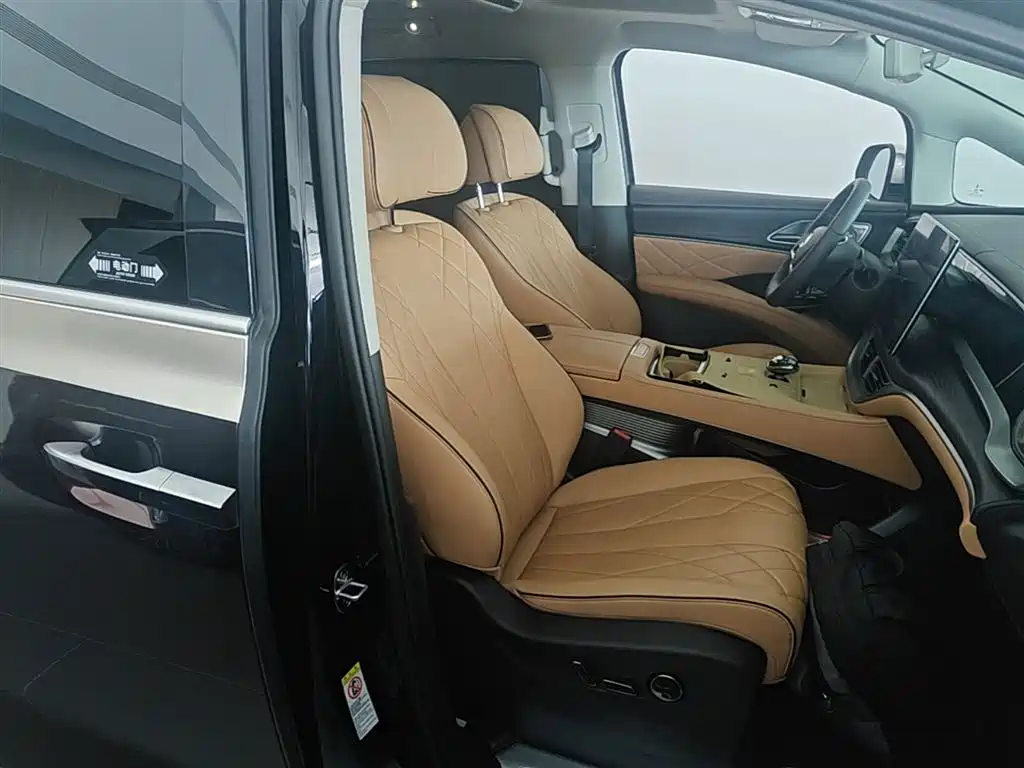 Denza D9 2024 DM-i 980 AWD Prestige фото 25