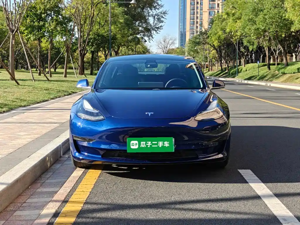 Фото 3 - Tesla Model 3