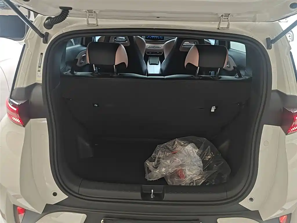 BYD Seagull 2025 Smart Drive Edition 305km Vitality Version фото 19