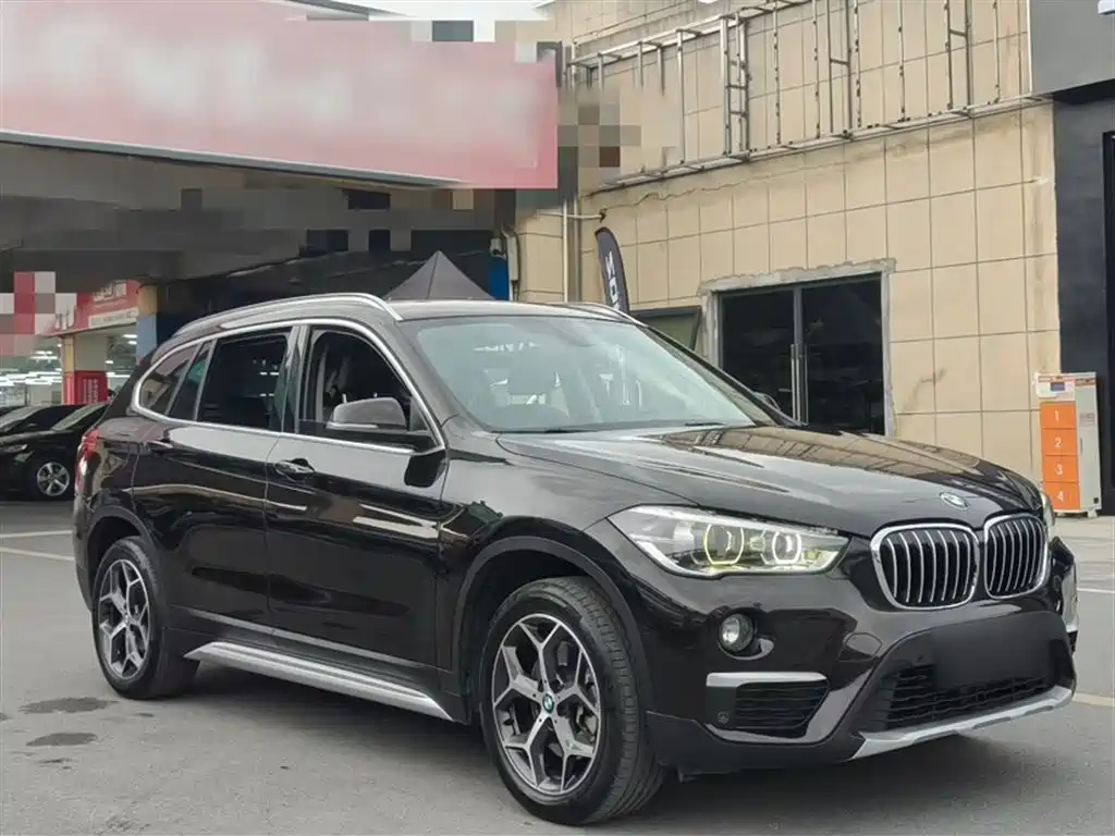 BMW X1 2019 xDrive20Li Premium Model фото 12