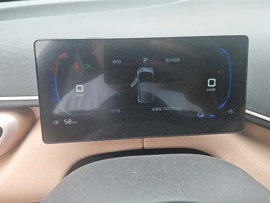 BYD Seagull 2024 Glory Edition 305km Vitality Edition фото 14