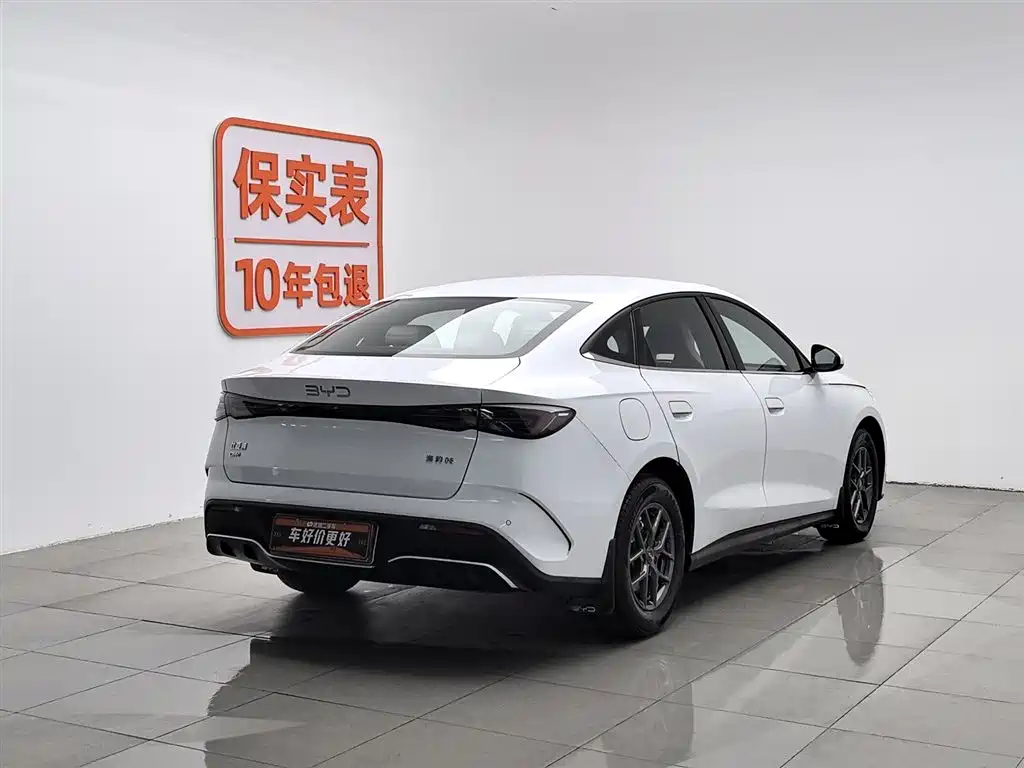 BYD Seal 06 New Energy 2024 DM-i 80KM Luxury фото 2