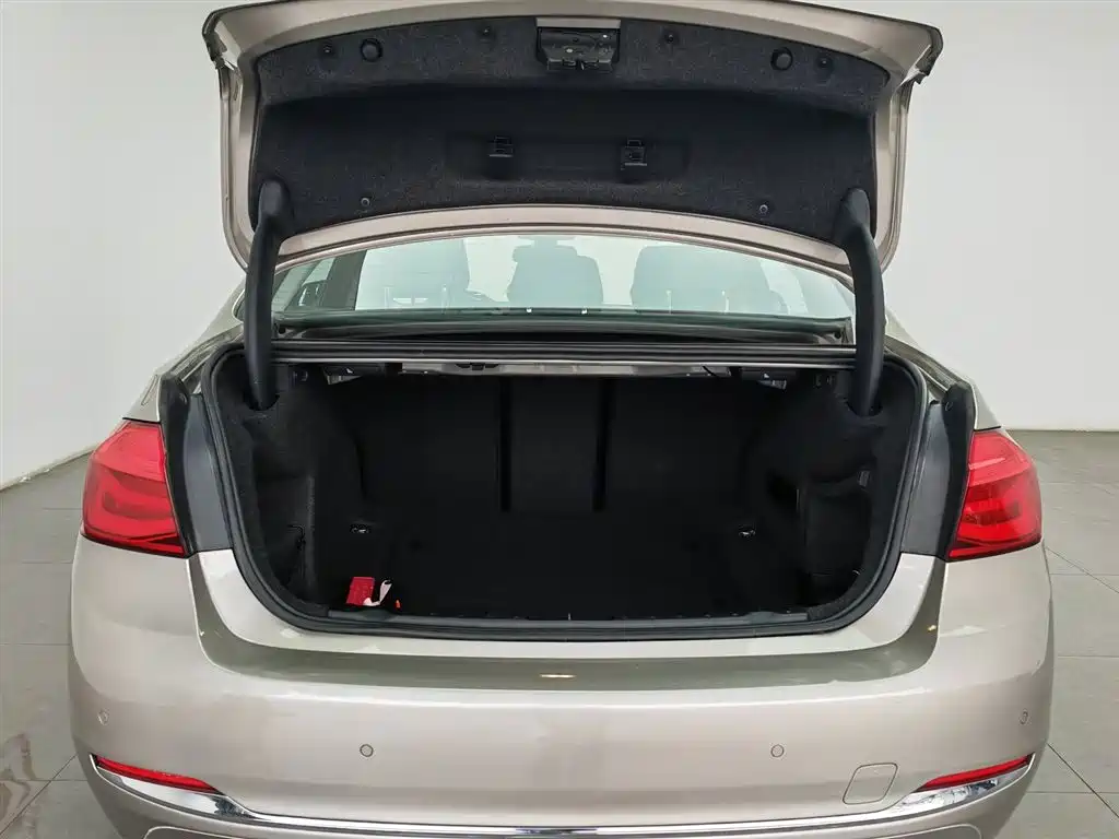 BMW 3 Series 2016 320Li Progressive фото 16
