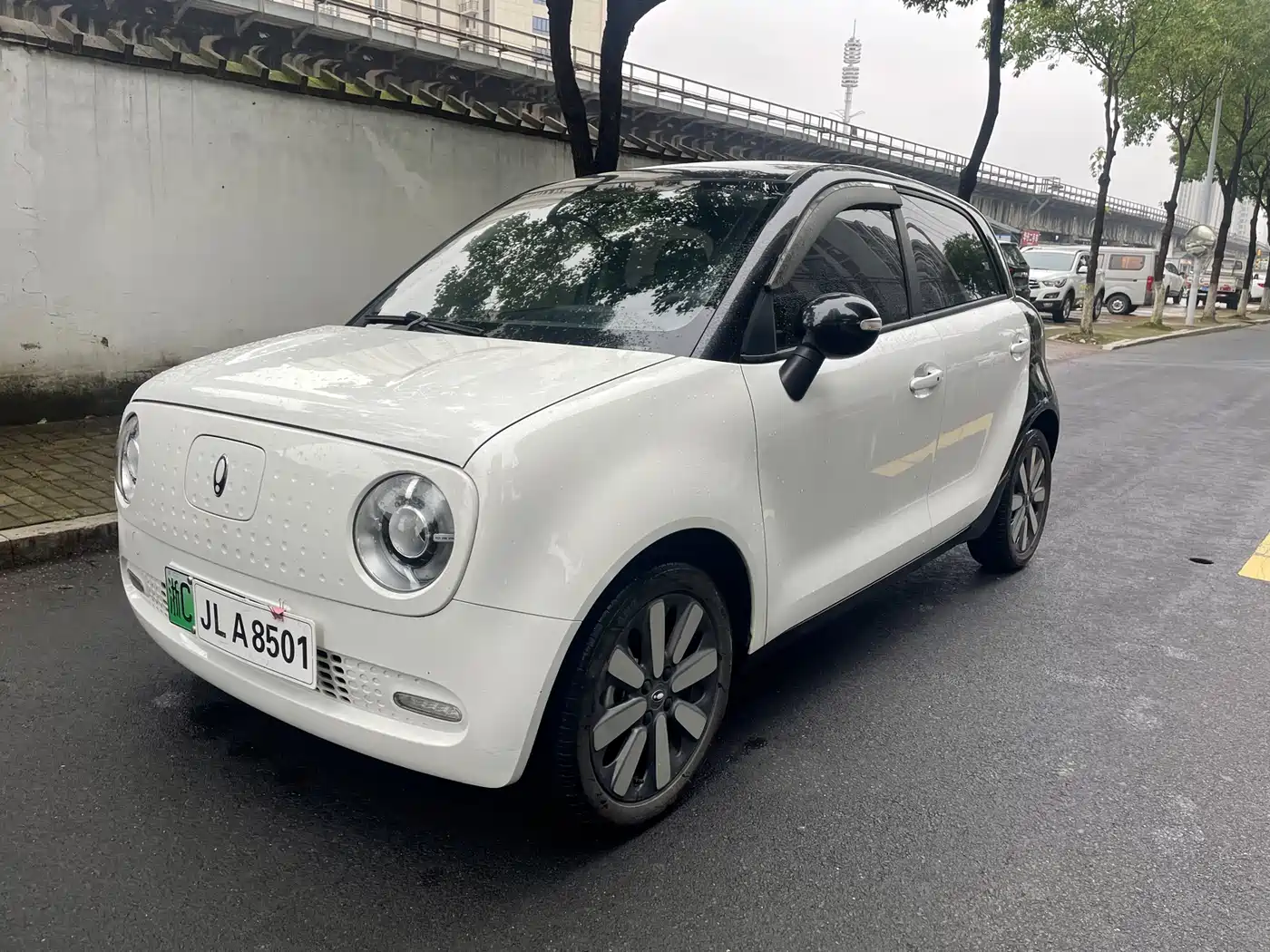 Ora Black Cat 2021 351km Luxury Model