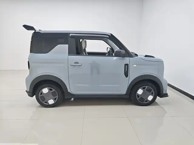 Geely Galaxy Panda 2025 Model Year 210km Panda Kart фото 3