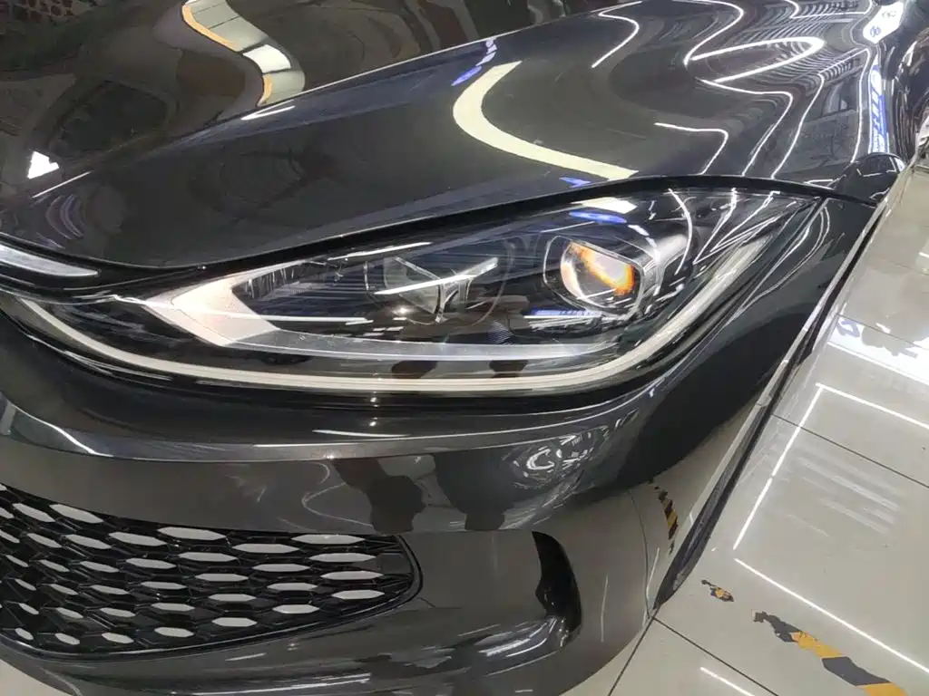 Volkswagen Lamando, миниатюра 24