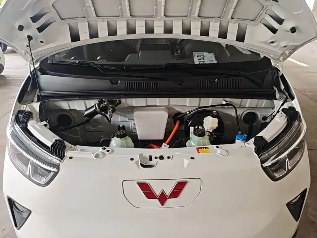 Wuling Motors Wuling Yangguang 2024 2024 300km Comfort Enclosed Van 60kW