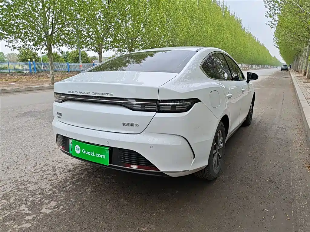 BYD Destroyer 05 2024 Glory Edition DM-i 55KM Luxury фото 5