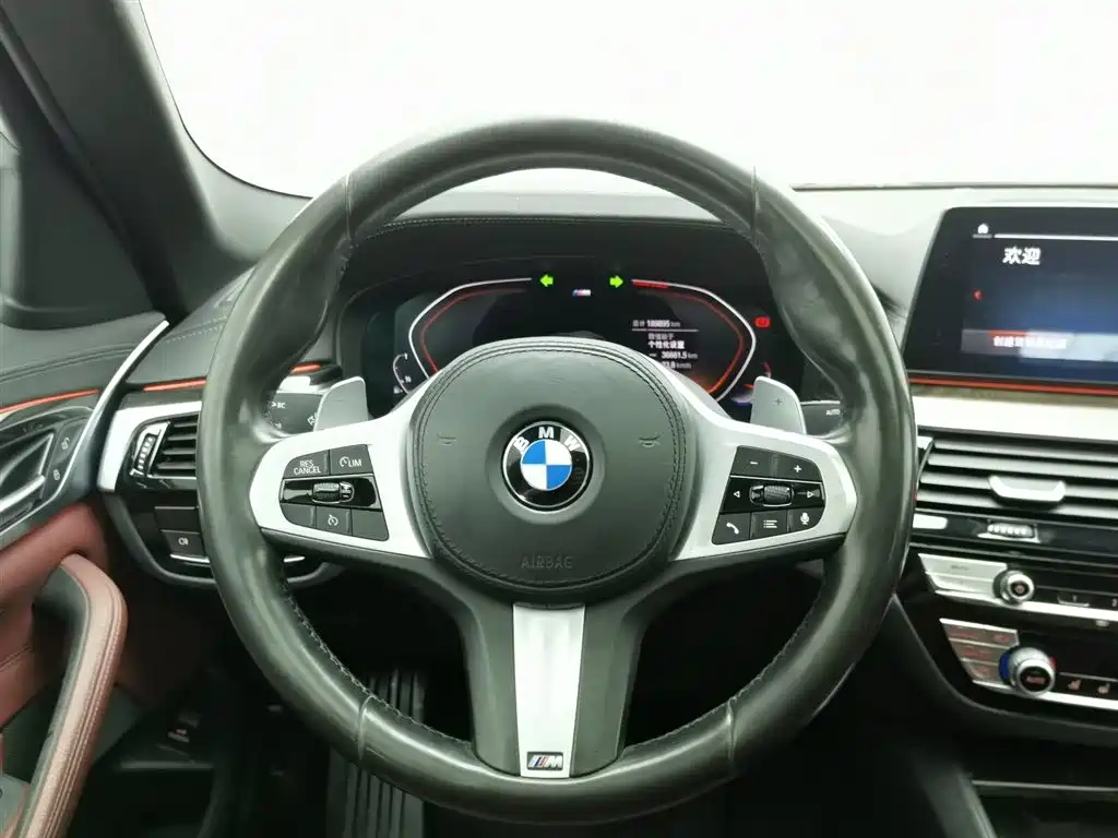 BMW 5 Series 2020 530Li Leading M Sport Package фото 11