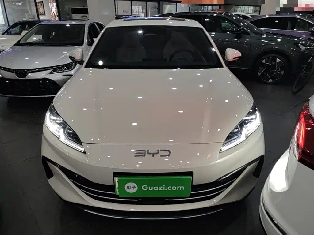 BYD Seal 06 New Energy 2024 DM-i 120KM Premium фото 3
